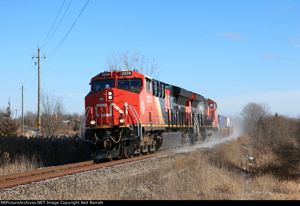 CN 3239